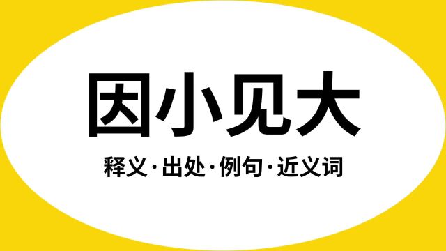 “因小见大”是什么意思?