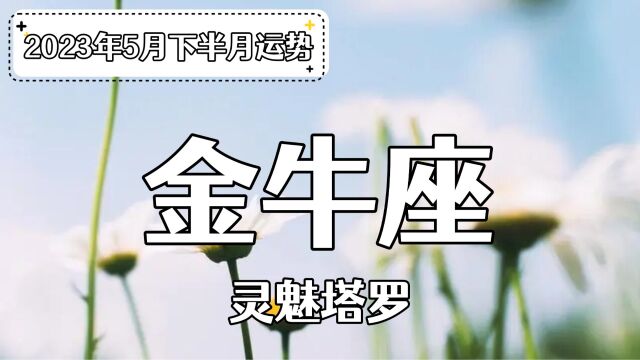 灵魅塔罗:金牛座5月下半月发展,双方之间存在秘密,面对并不完全真实的能量