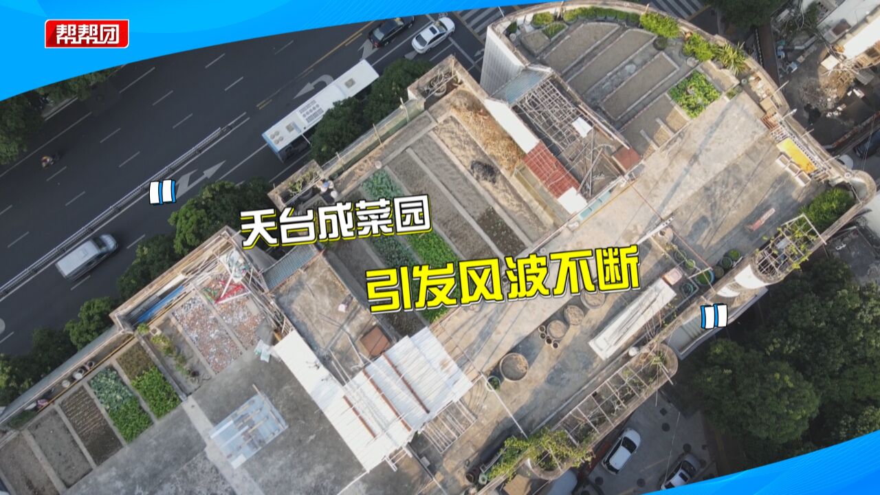 天台种菜被要求整改 一年后竟成私家花园?顶层业主:投诉被刁难