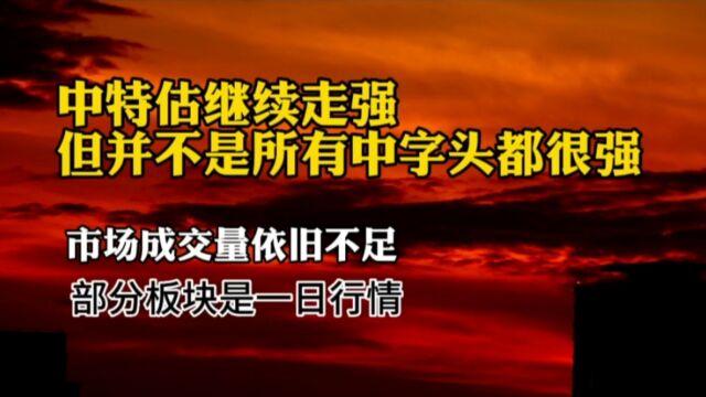 并不是所有含中字头股票都会上涨