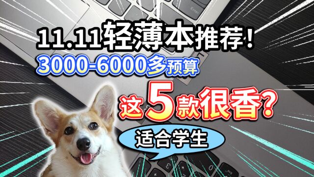 【双11轻薄本推荐】30006000多预算,适合学生,这5款很香?