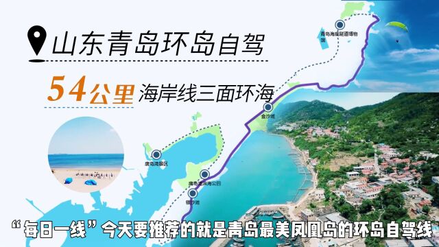 青岛最强自驾指南,环游凤凰岛,探索“海上西湖”