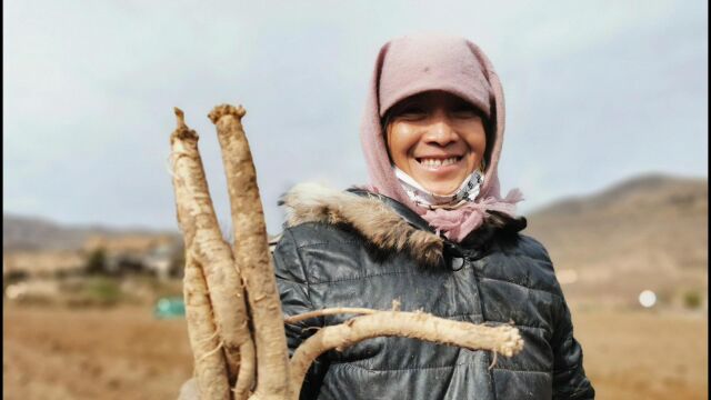 处处好“丰景”