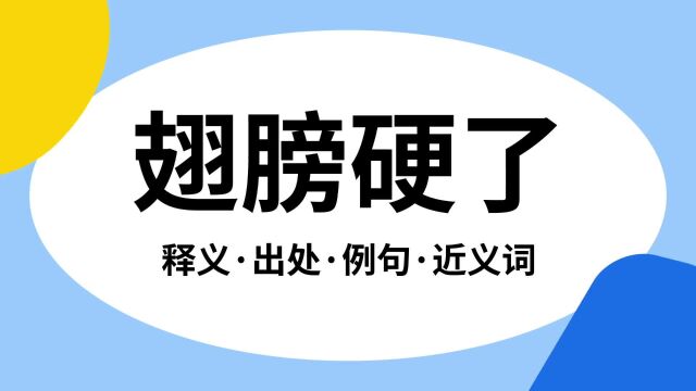 “翅膀硬了”是什么意思?