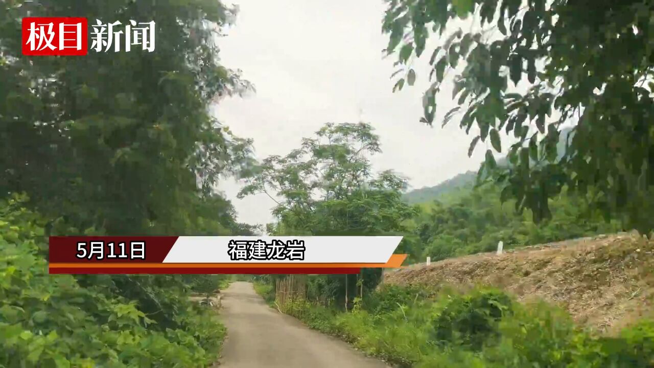 【视频】福建龙岩暴雨已停洪水退去,农民积极开展生产自救