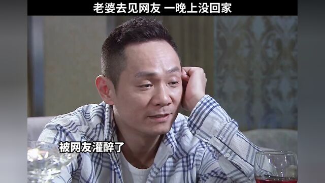 你好岳父大人张桐老婆去见网友一晚上没回来