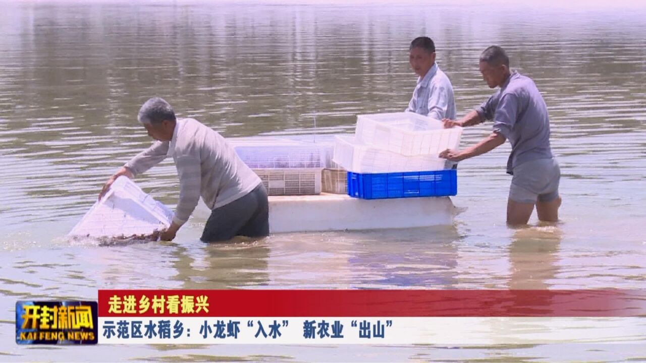 示范区水稻乡:小龙虾“入水” 新农业“出山”