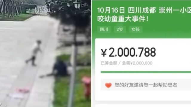 轻松筹回应200万善款:女童已明显好转,未使用善款全额退回不收手续费