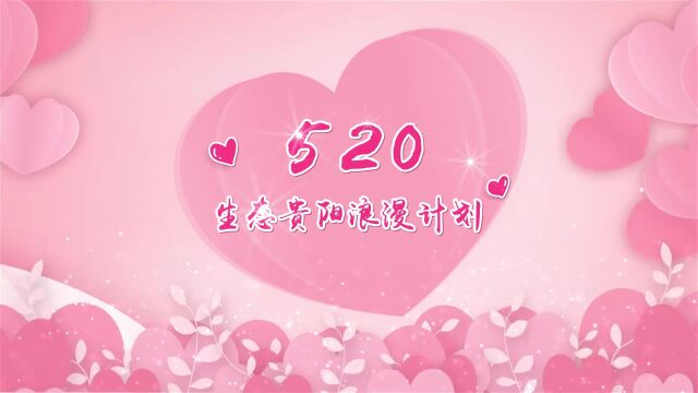 520生态贵阳浪漫计划正式启动