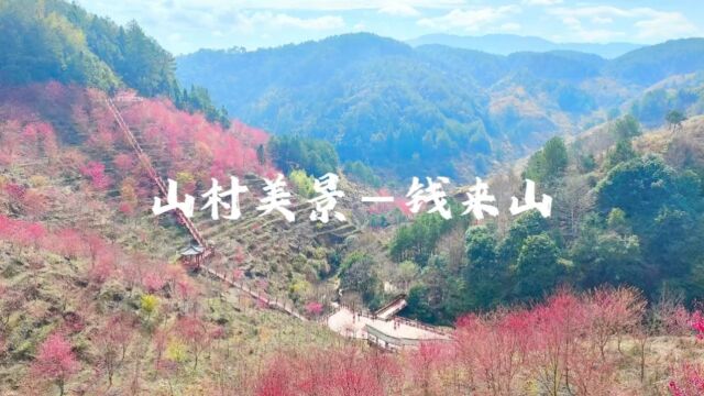 山村美景钱来山