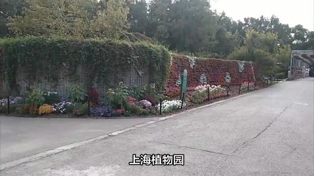 游玩推荐之上海植物园