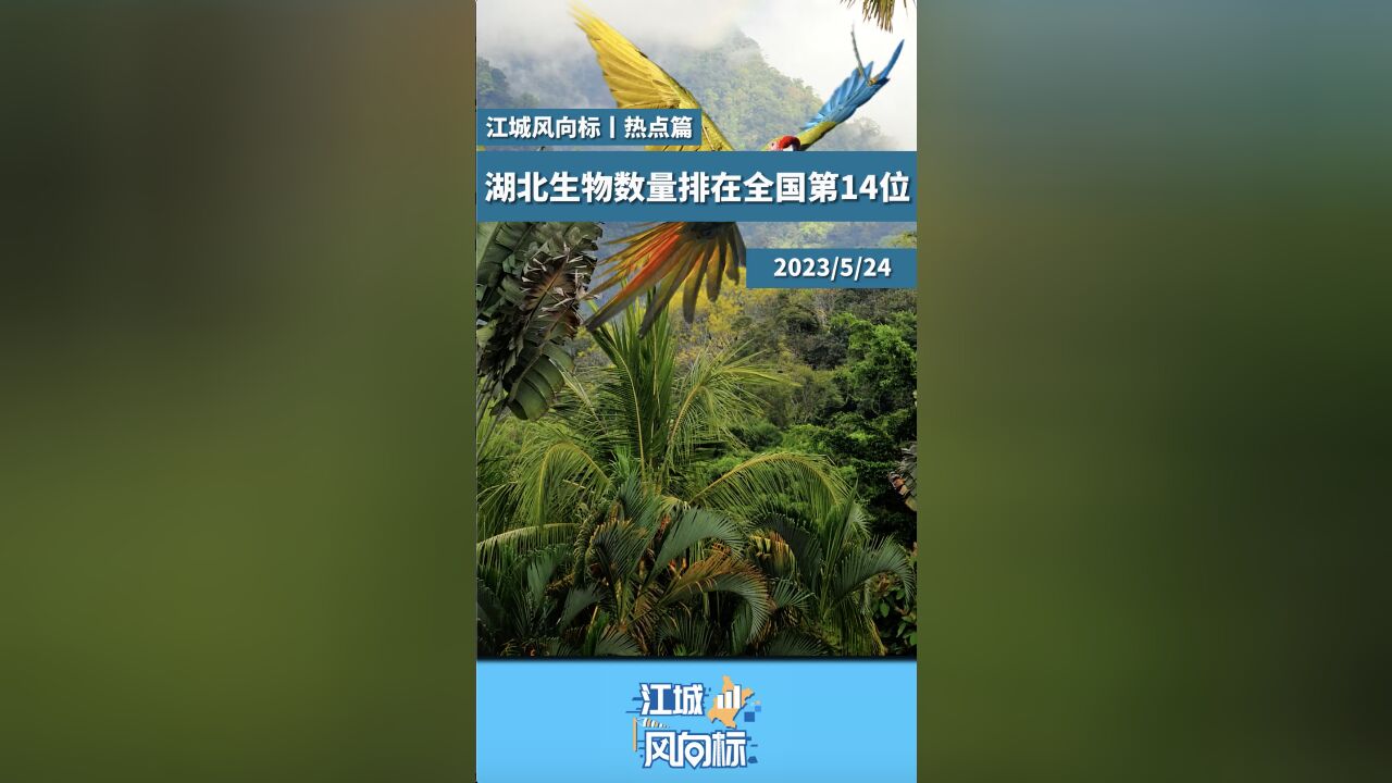 湖北生物物种数量超1.1万个 还有832个只在湖北能见到