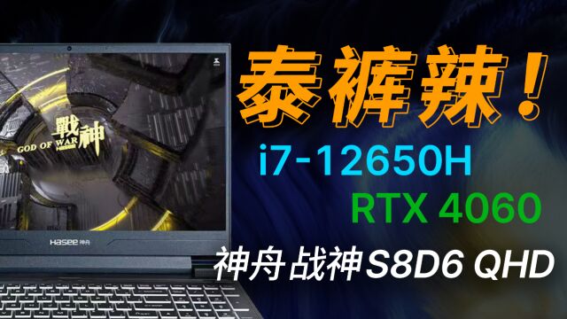 4060游戏本能玩啥游戏?神舟S8D6价格上调后还香吗【宇神】