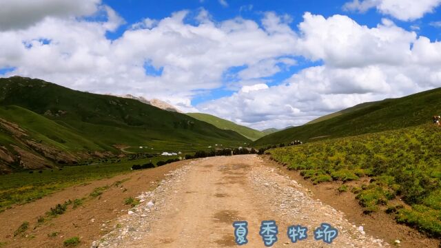 青藏高原上藏族牧民四季游牧的夏季牧场