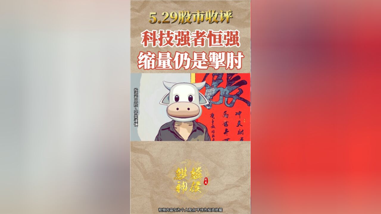 2023.5.29股市收评:科技强者恒强,缩量仍是掣肘