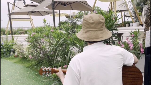 蜻蜓飞过夹竹桃,神仙不见了小斑马,蔷薇花,牧羊的原野群鸟翱翔的天际,岁月尽流逝来日后会相予期,去去莫迟疑*