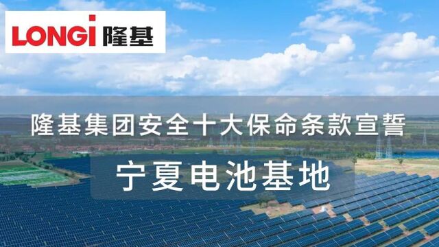 隆基集团宁夏电池基地安全十大保命条款宣誓