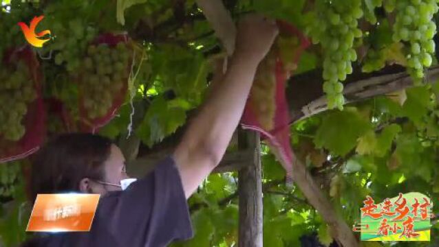 喀什地区瓜果飘香助农增收