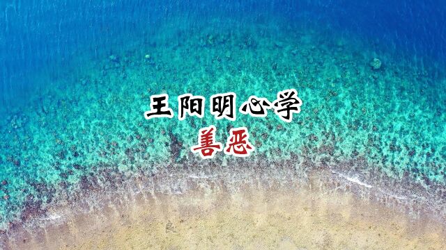 无善无恶心之体,如何保持内心的平静与清明?如何行善去恶以体现良知和格物?