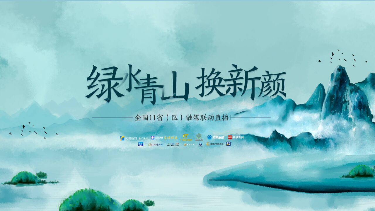 3分钟速览“绿水青山换新颜”!闪电新闻全国11省(区)联动直播集锦来了