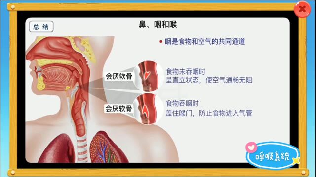 生物纳入中考不用慌,158个微动画帮你搞定初中生物