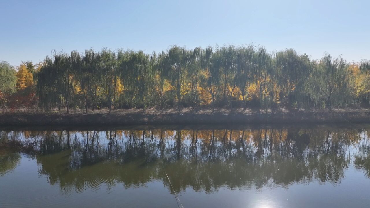 深秋时节的丹东农村,路上偶遇都是风景,不用刻意寻找