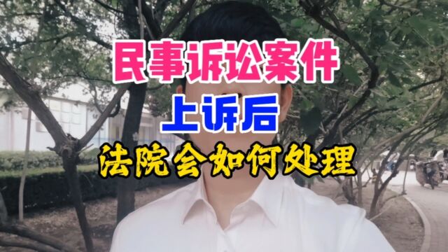 民事诉讼案件上诉后,法院会如何处理?