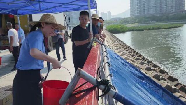 世界海洋日丨保护海洋生态系统 ,检察机关在行动