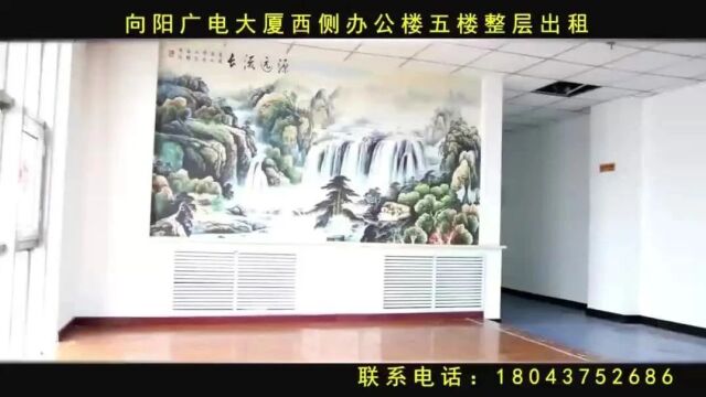 800平方米办公楼整层出租