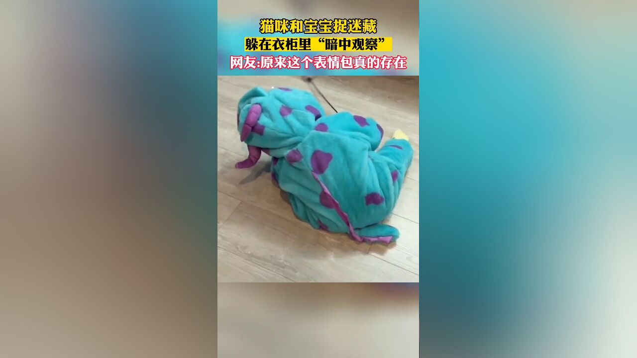 猫咪暗中观察家中宝宝