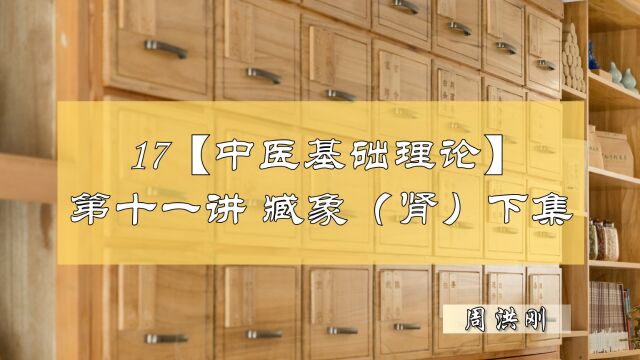 17【中医基础理论】第十一讲——藏象(肾)(下集)