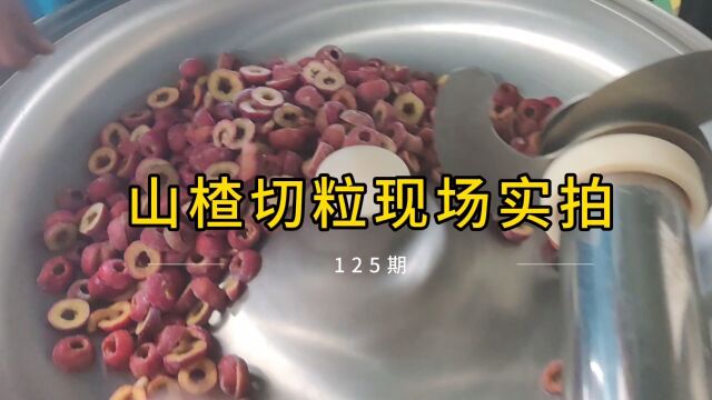 斩拌机拥有什么功能?带你看看山楂切粒现场就明白了.