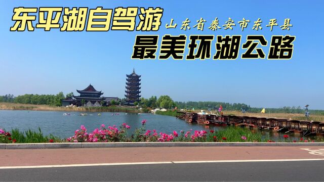 特别适合自驾旅游的环湖观景大道,东平湖一圈约80公里,你去过吗