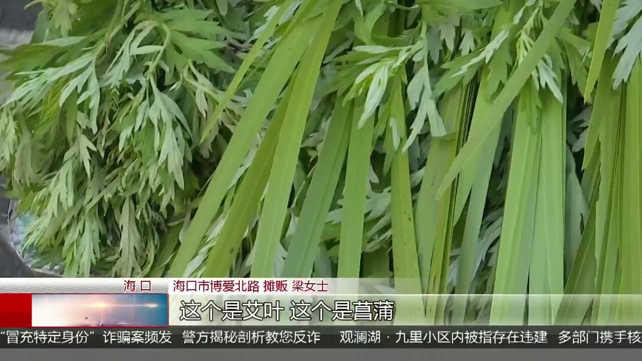 迎端午:艾草菖蒲销售火爆 传统习俗传承记忆