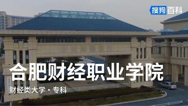 合肥财经职业学院:励志明德,攻术践行