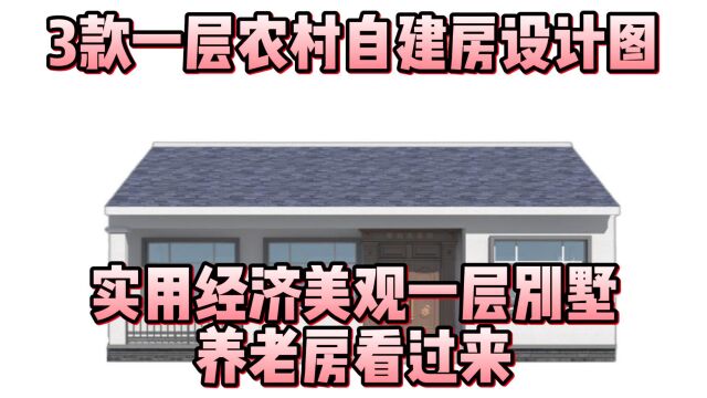 3款一层农村自建房设计图,实用经济美观一层别墅,养老房看过来