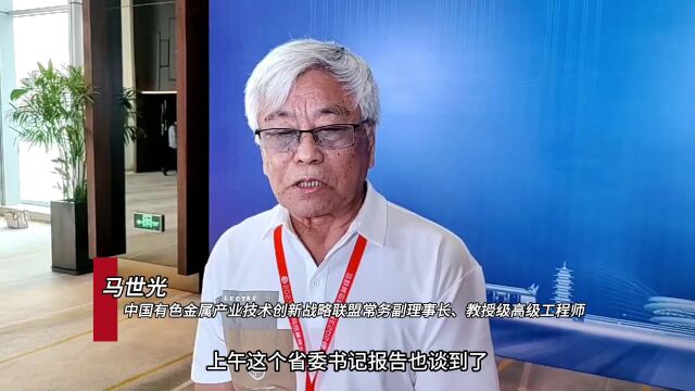 岳麓峰会|“长沙可打造领先的材料加工基地”