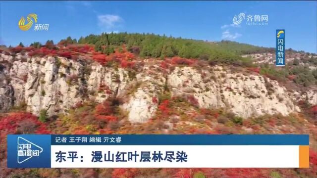 初冬时节,西沟刘村漫山遍野的红叶迎来最佳观赏期,宛如一幅油画