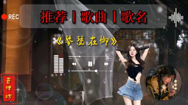 每日音乐《琴瑟在御》