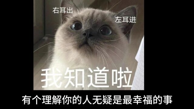 今日话题:为什么总是希望别人理解自己?