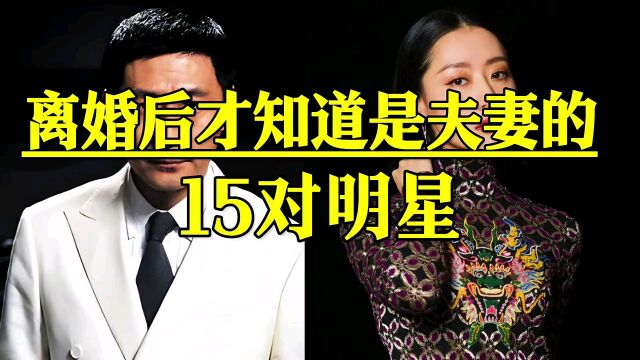 离婚后才知道是夫妻的15对明星