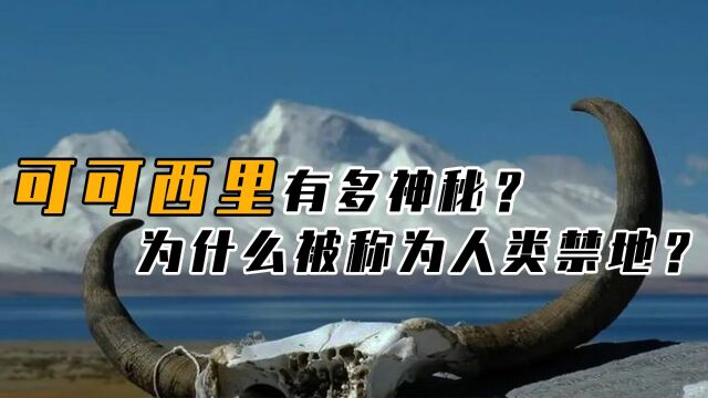 可可西里无人区有多恐怖,为何禁止进入?有什么见不得人的秘密?