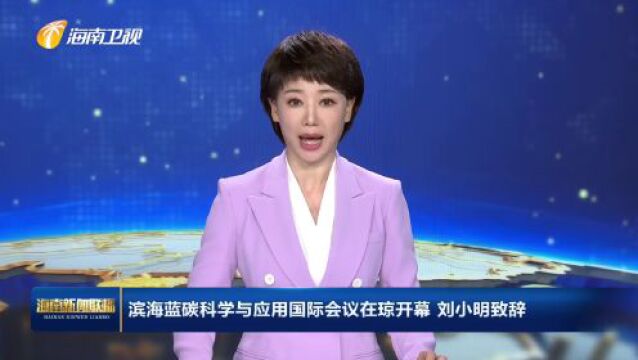 滨海蓝碳科学与应用国际会议在琼开幕