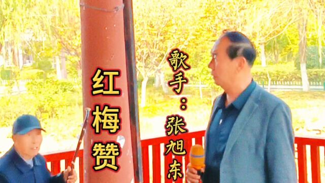 张旭东演唱《红梅赞》红岩上红梅开千里冰封脚下踩三九严寒何所惧一片丹心向阳开