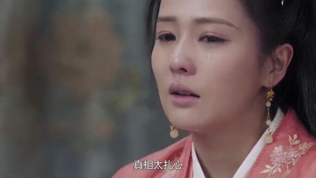 周生如故:明明是时宜放弃周生辰,为何周生辰却说自己唯负十一?