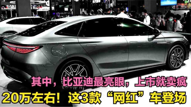 20万左右!这3款“网红”车登场,其中比亚迪最亮眼,上市就卖疯