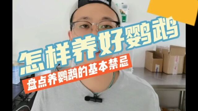 盘点喂养鹦鹉的基本禁忌