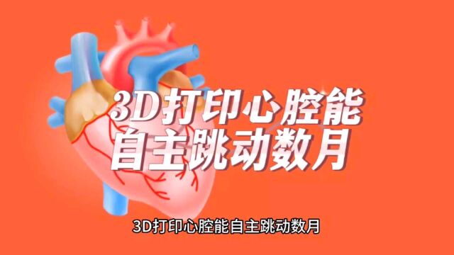 3D打印心腔能自主跳动数月