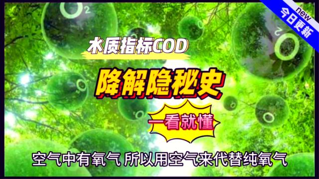 白话解读!COD降解隐秘史,一看就懂