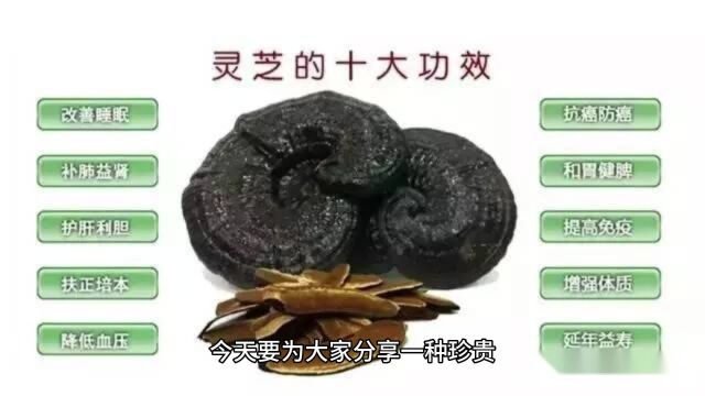 灵芝孢子粉的正确吃法,让你提升免疫力、延缓衰老!